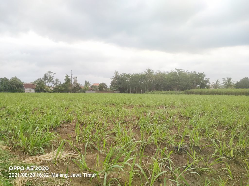 Jual Tanah Luas Strategis di Malang Dekat Kantor Bupati Malang dan Pasar Gondanglegi - 1