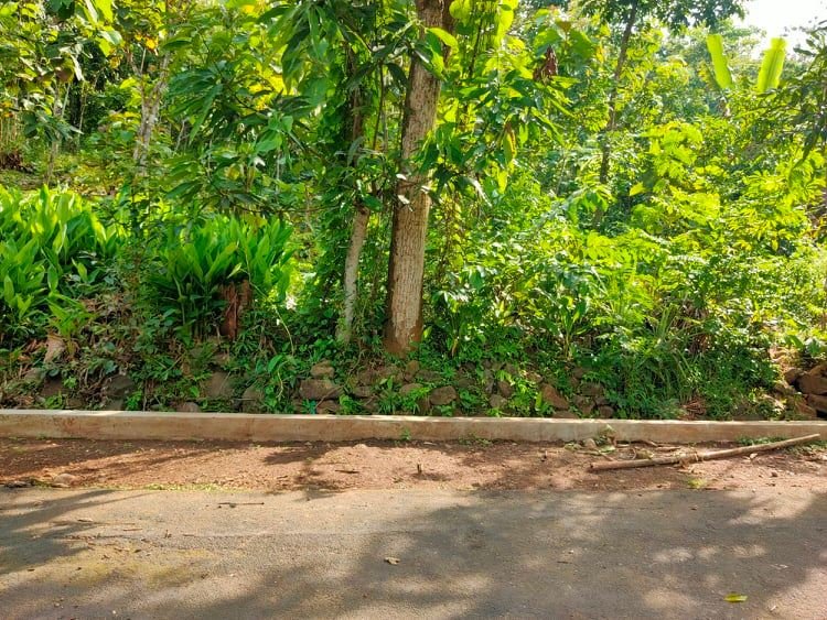 Dijual Tanah Super Datar 1500m² Kerjo Karanganyar - 4