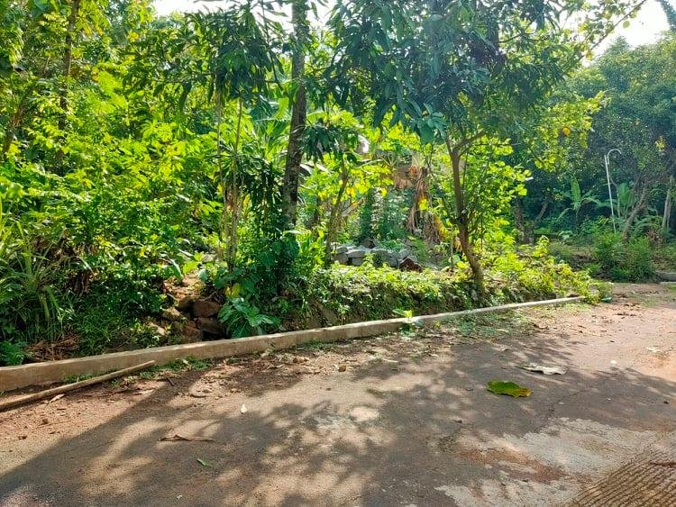 Dijual Tanah Super Datar 1500m² Kerjo Karanganyar - 3