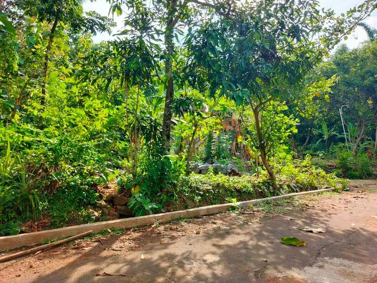 Dijual Tanah Super Datar 1500m² Kerjo Karanganyar - 6
