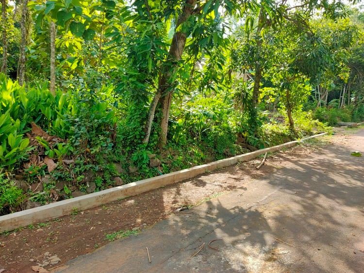 Dijual Tanah Super Datar 1500m² Kerjo Karanganyar - 2