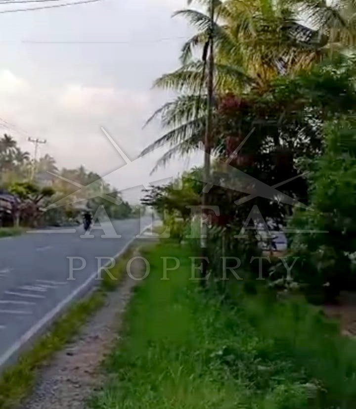 Tanah Tepi Jalan Mempawah, Pontianak, Kalimantan Barat - 8