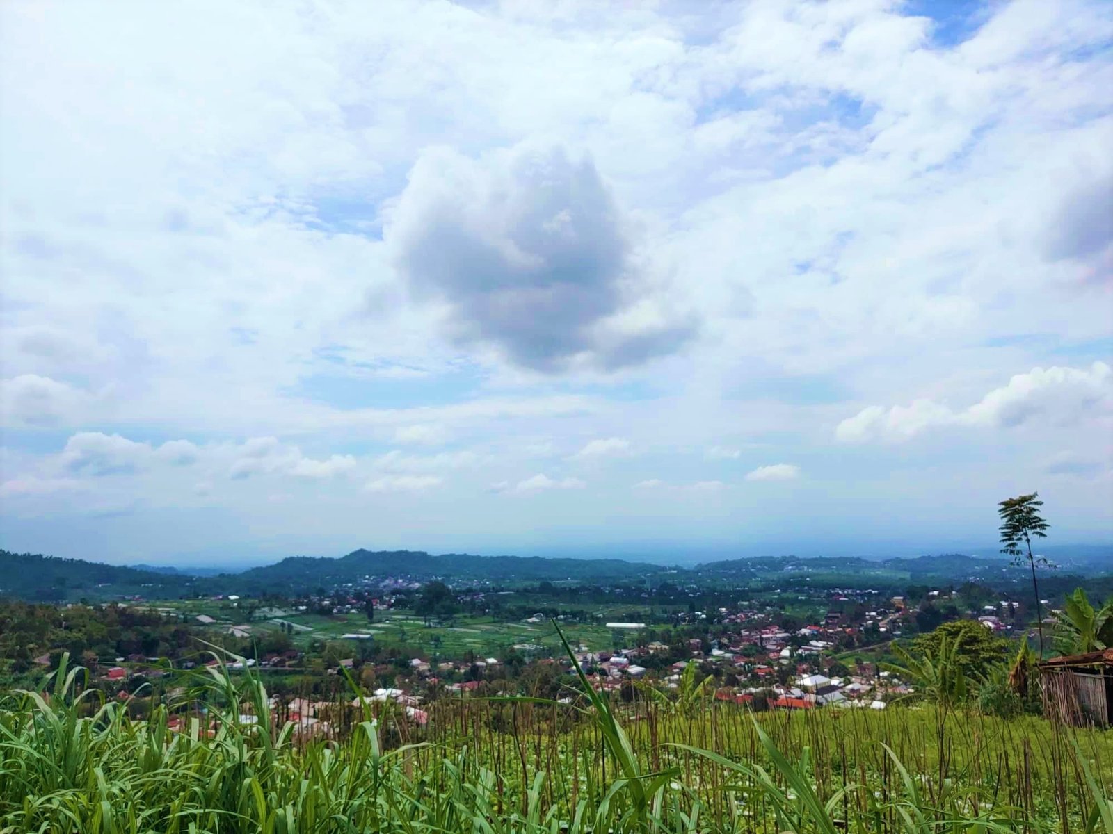 Dijual Tanah 345m² Kemuning Ngargoyoso Karanganyar - 7