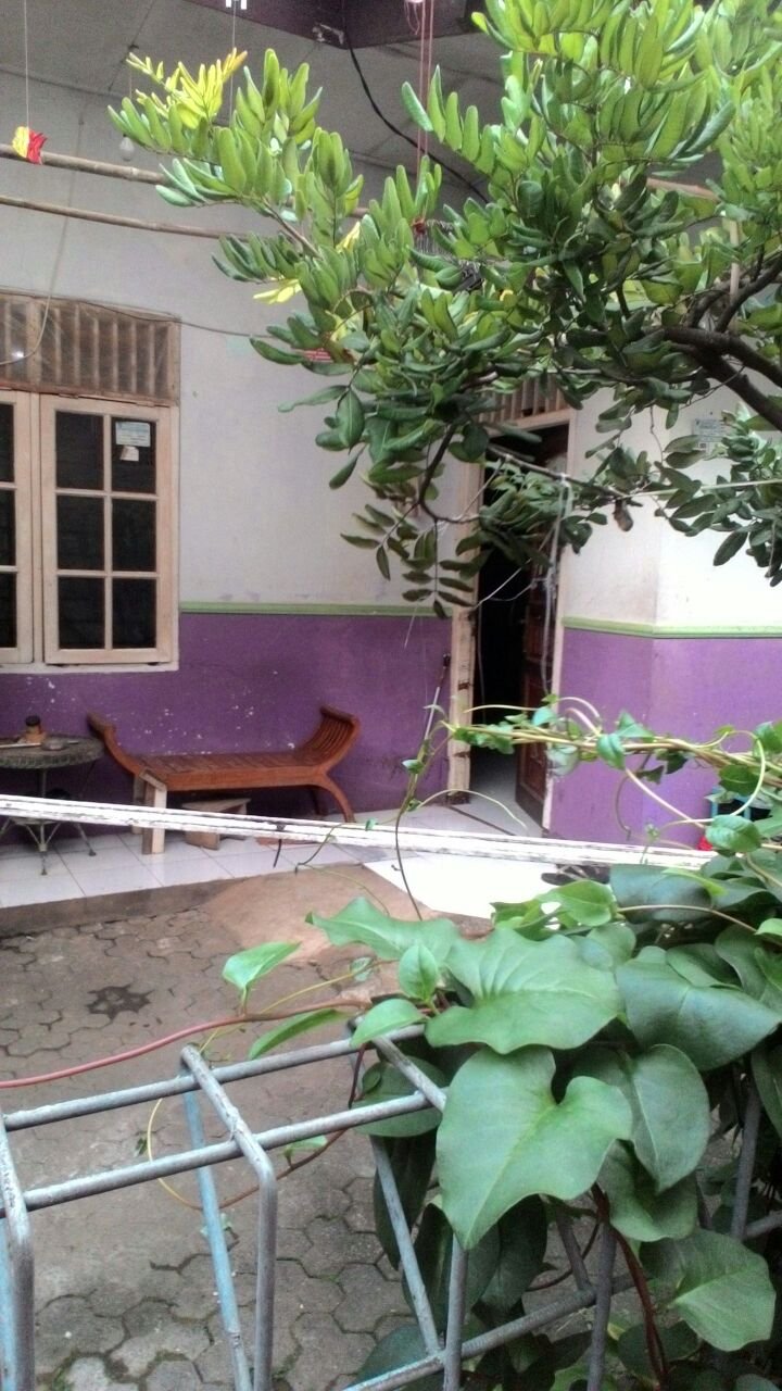 Rumah Murah ,Daerah Pangkalan Jati Baru, Cinere, Depok - 9