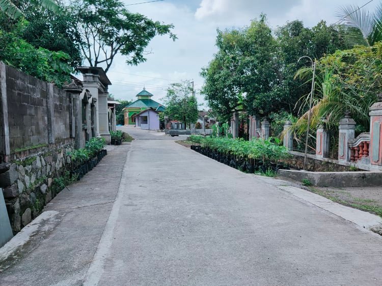 Jual Rumah Mewah 200m² Jirapan Masaran Sragen - 7