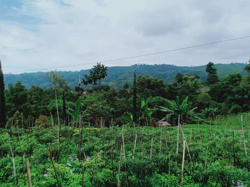 Dijual Tanah 537m² Tepi Jl DPU Kemuning Ngargoyoso Karanganyar - 4