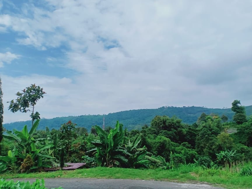 Dijual Tanah 537m² Tepi Jl DPU Kemuning Ngargoyoso Karanganyar - 3
