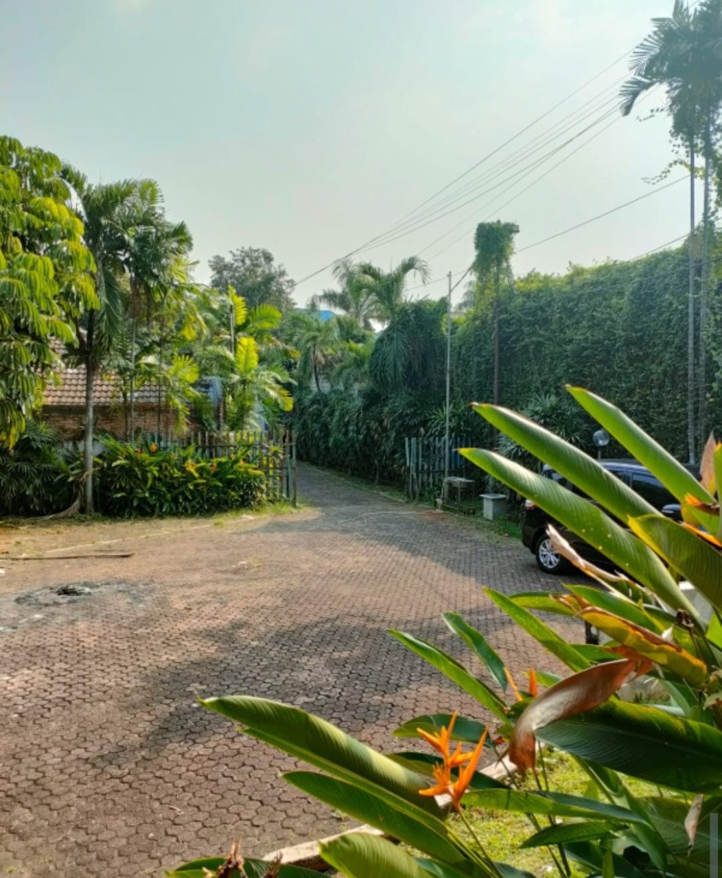 Rumah Tinggal Lengkap dengan Studio Virtual di Jalan Bangka - 2