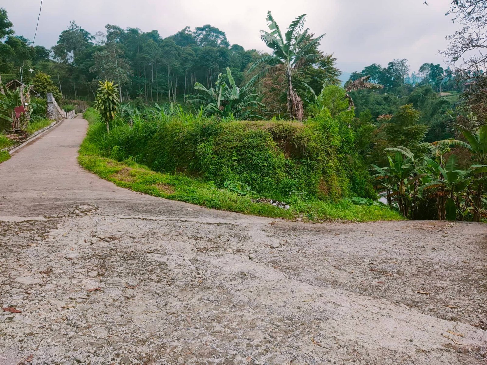 Jual Tanah 225m² View Perbukitan Kemuning Ngargoyoso Karanganyar - 8