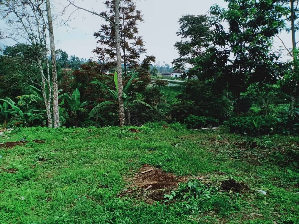 Jual Tanah 225m² View Perbukitan Kemuning Ngargoyoso Karanganyar - 6