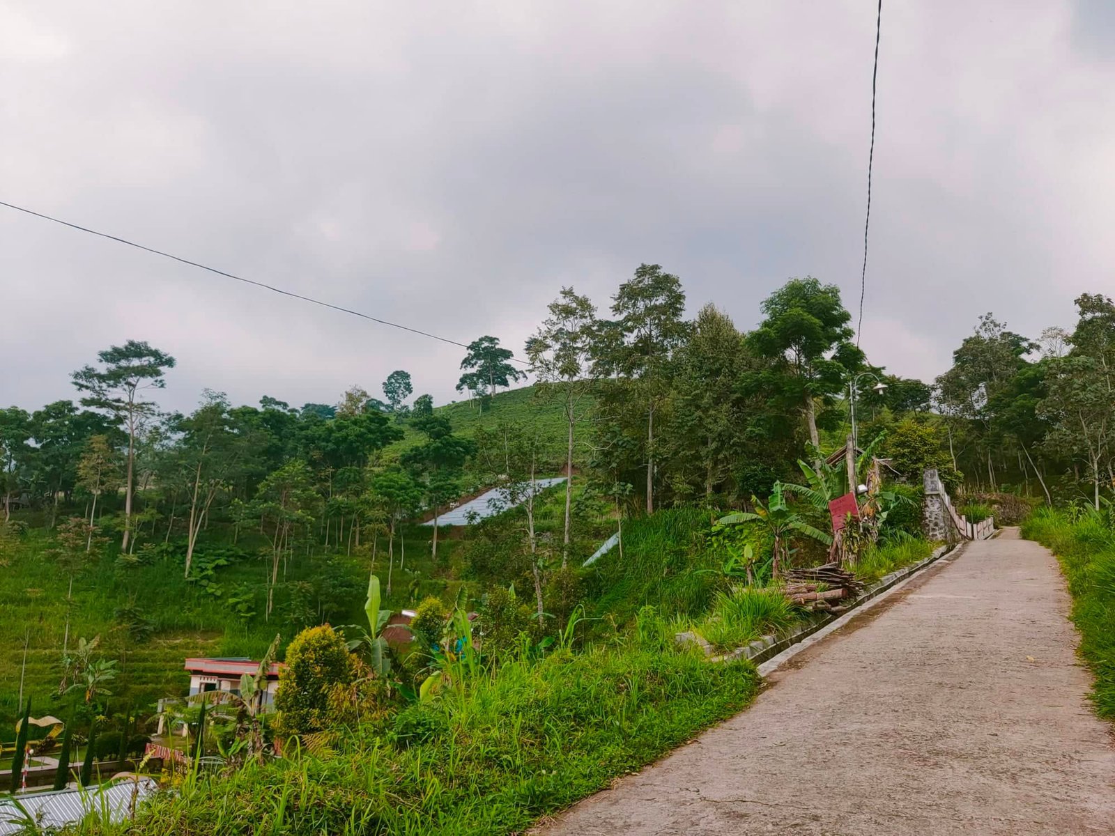 Jual Tanah 225m² View Perbukitan Kemuning Ngargoyoso Karanganyar - 2