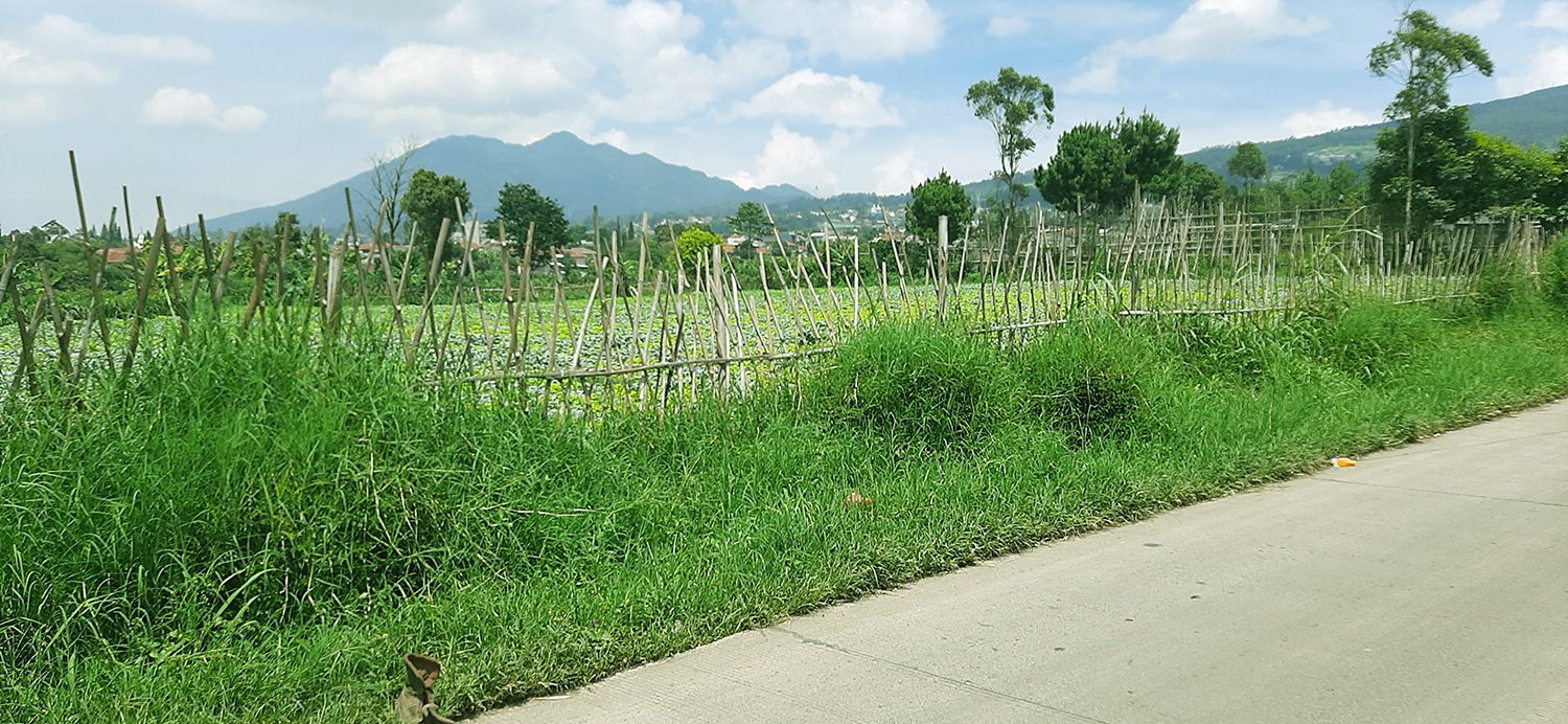 TANAH KOMERSIAL DI LEMBANG BANDUNG - 8