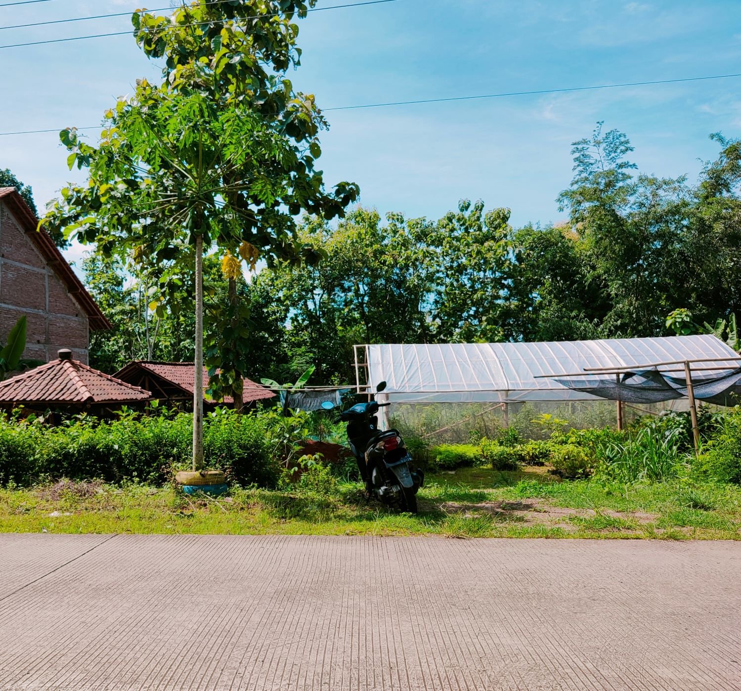 Dijual Tanah Datar Mojogedang Karanganyar - 2