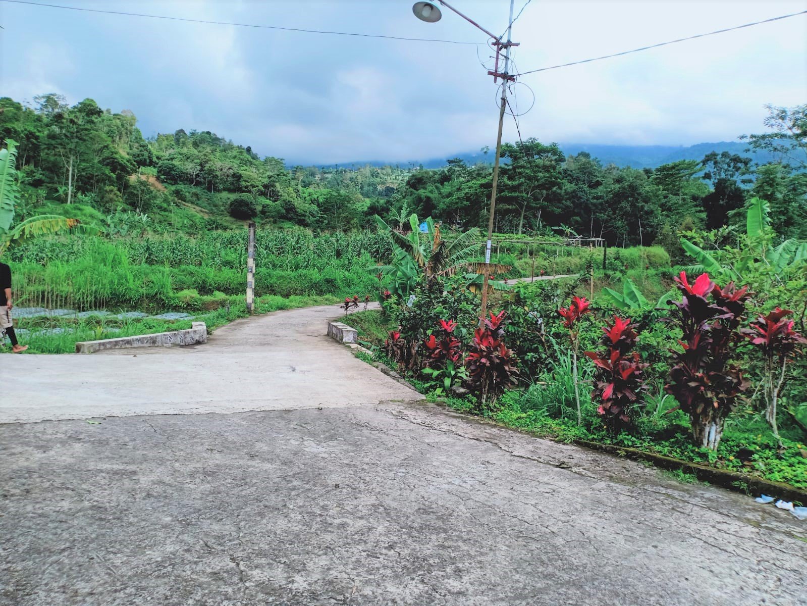 Dijual Tanah Cocok Untuk Resto/Villa Kemuning Ngargoyoso Karanganyar - 6