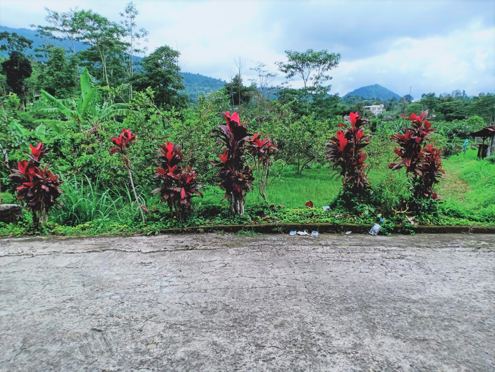 Dijual Tanah Cocok Untuk Resto/Villa Kemuning Ngargoyoso Karanganyar - 3