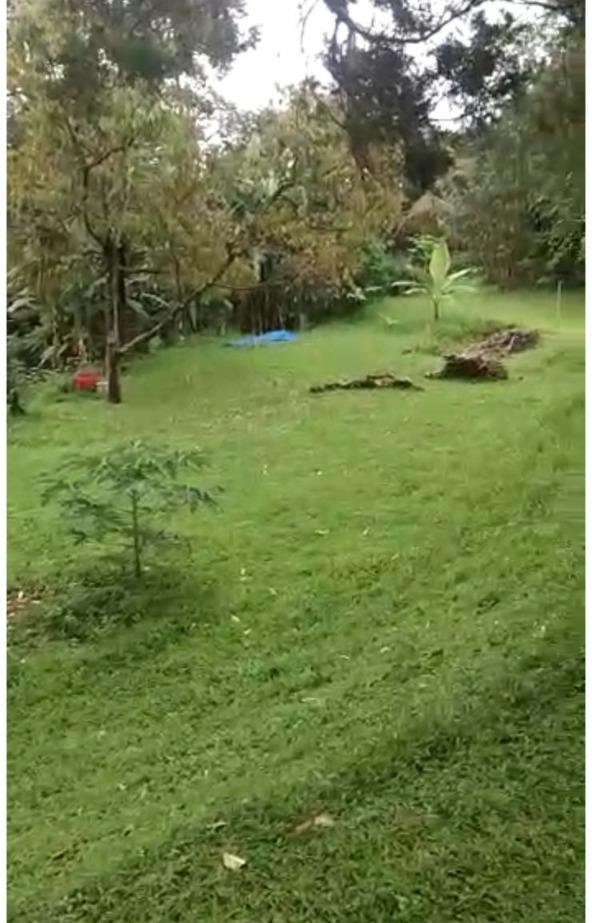 Dijual Murah Villa Cantik dan Asri Semi Furnished Di Cibogo, Megamendung - 11