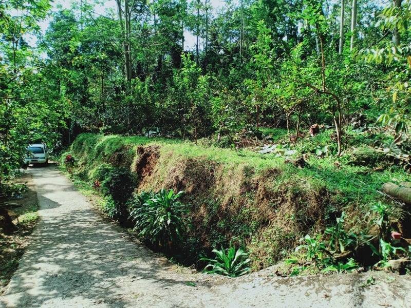 Tanah Kebun Jambu di Kota Wisata Ngargoyoso Karanganyar - 4