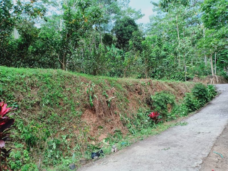 Tanah Kebun Jambu di Kota Wisata Ngargoyoso Karanganyar - 2