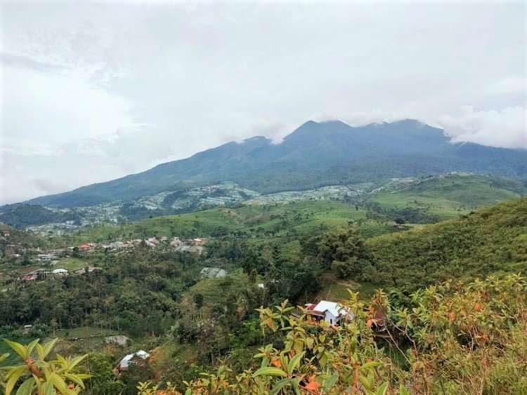 Dijual Tanah Tepi Jl Raya Kemuning Ngargoyoso Karanganyar - 2