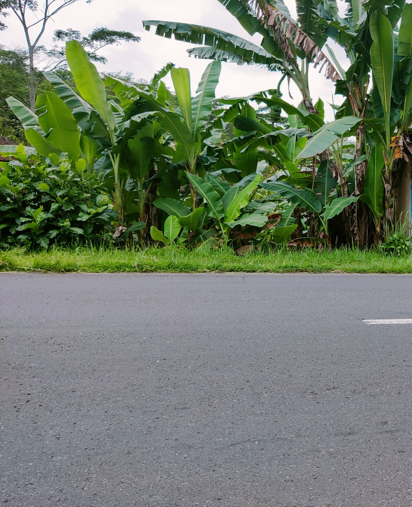 Dijual Tanah Tepi Jl Raya Karangpandan-Kemuning Karanganyar - 3