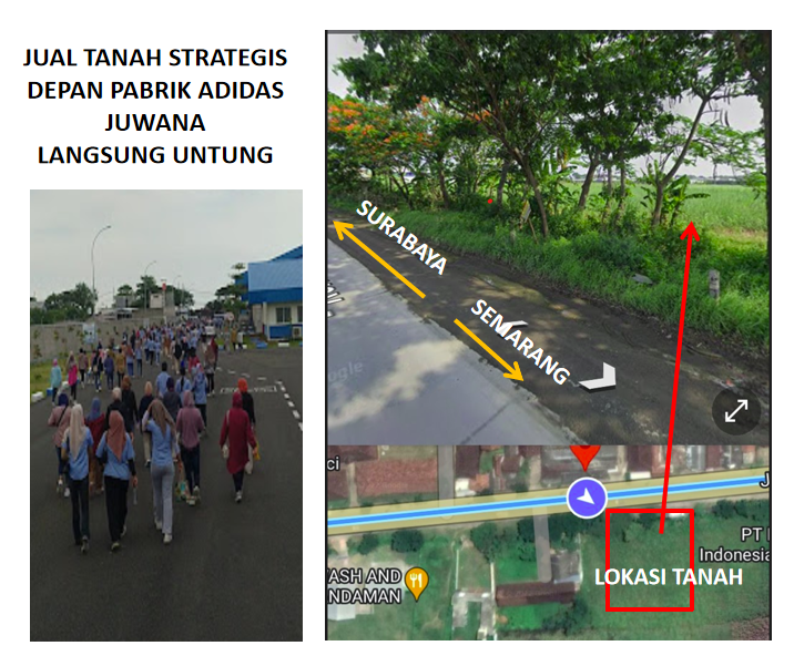 JUAL TANAH  SHM DEPAN PABRIK SEPATU ADIDAS JUWANA - PATI JAWA TENGAH SANGAT PROSPEK UNTUK BISNIS KARENA LANGSUNG MENGUNTUNGKAN - 5