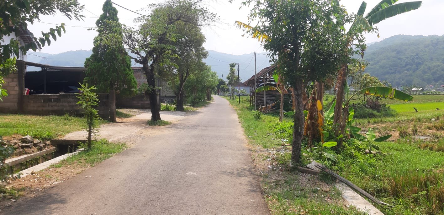 Dijual Murah Tanah Sawah Tengah Kota Pacitan - 11