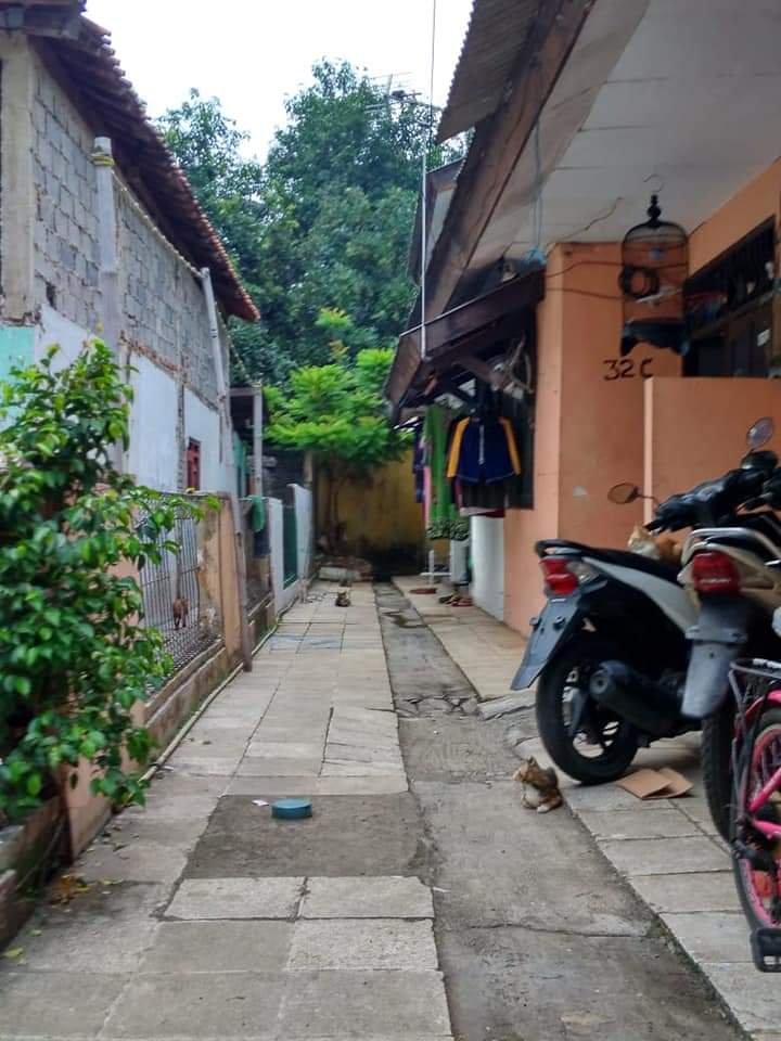 DIJUAL RUMAH PETAK DI PASAR MINGGU LOKASI STRATEGIS - 8