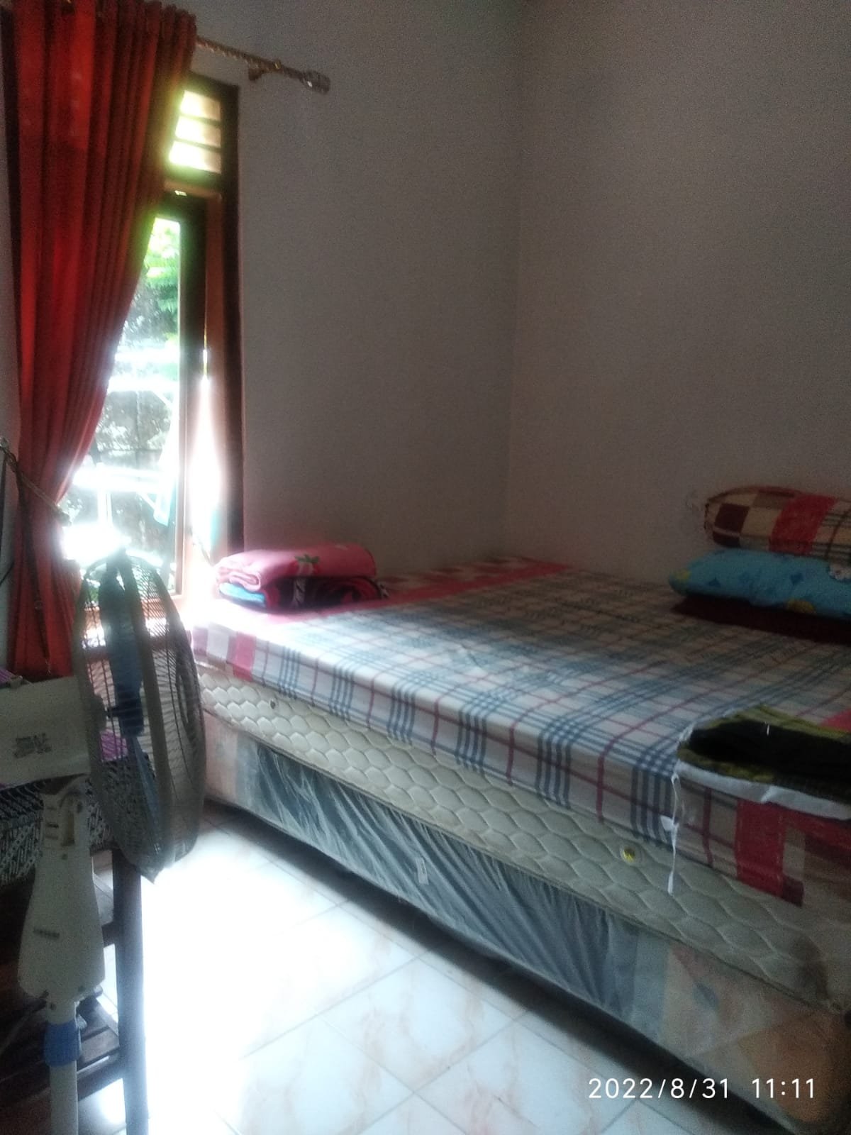 DIJUAL RIMAU DI PERUMAHAN WALITELON ASRI TEMANGGUNG - 5