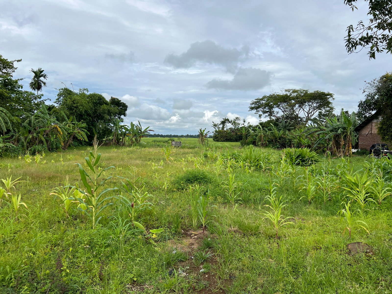 Dijual Tanah Sobang, Banten 4650 m2 Lokasi Strategis - 8