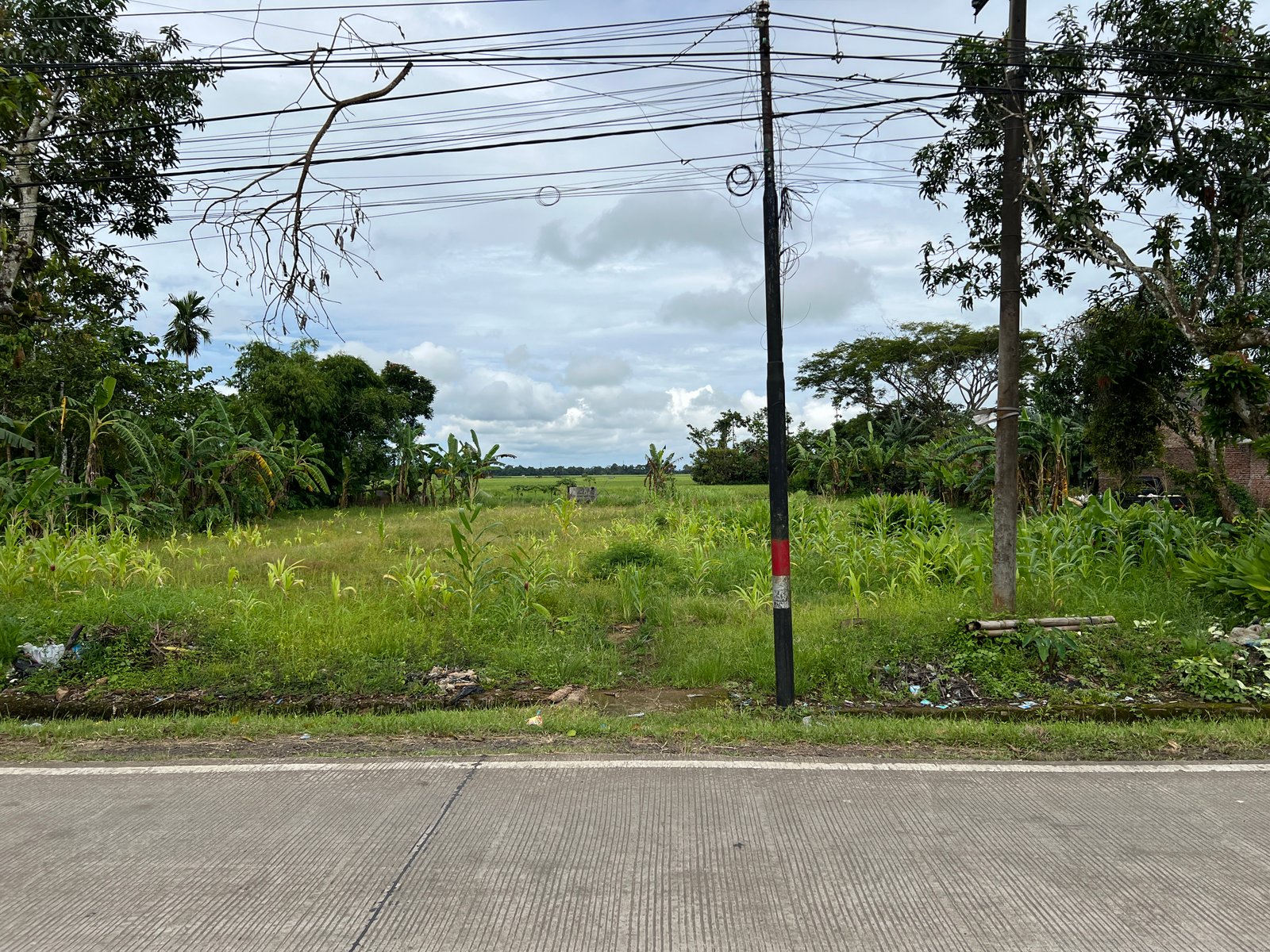 Dijual Tanah Sobang, Banten 4650 m2 Lokasi Strategis - 10