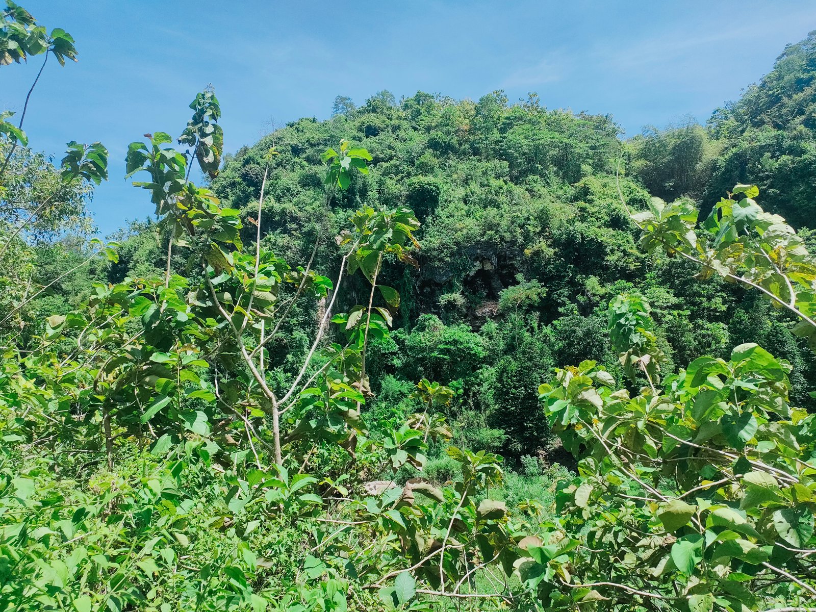 Jual Tanah (Gunung) - 7