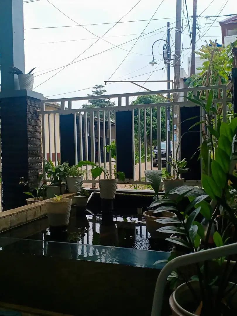 Dijual - 6