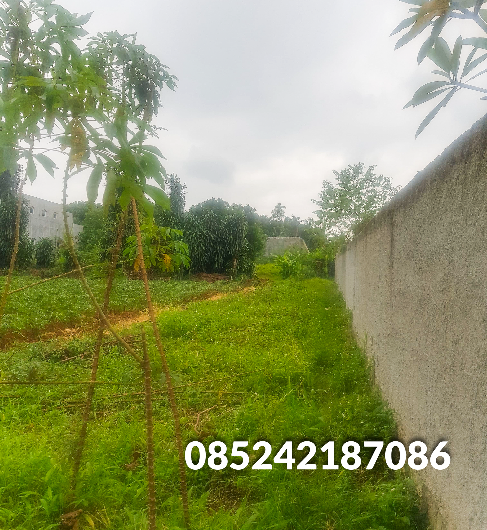 Jual Murah Tanah Rawakalong Dekat Serpong - 2