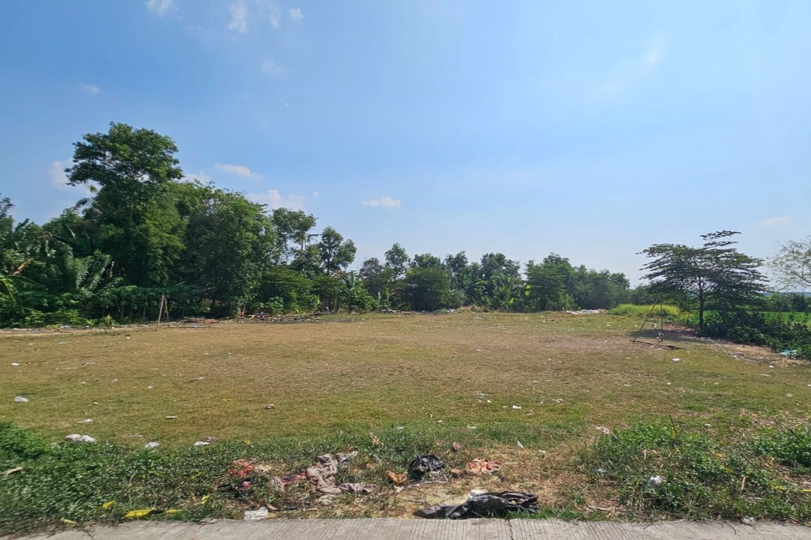 Tanah Desa Karangmulya Telukjambe Barat Karawang Barat - 2