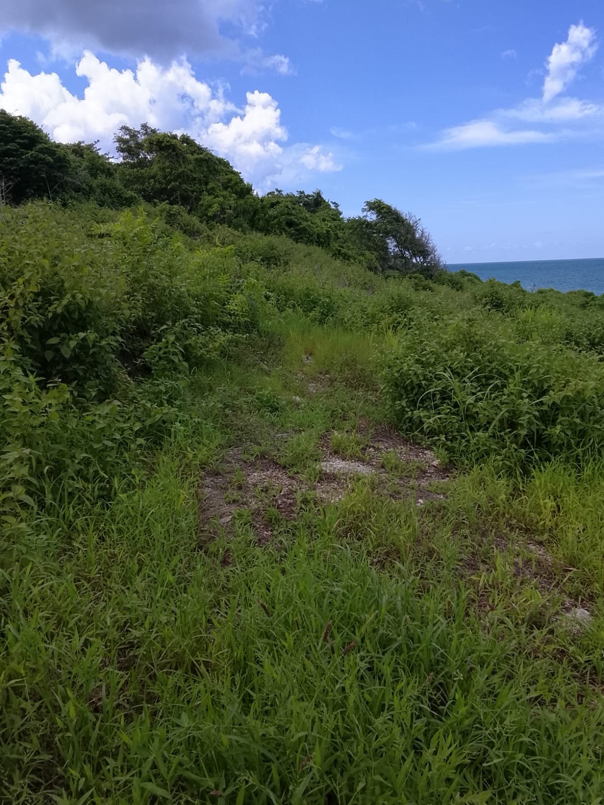 DIJUAL SEGERA: TANAH PINGGIR PANTAI KAWONA, SUMBA BARAT DAYA, NTT; COCOK UNTUK HOTEL, RESORT, ATAU VILLA - 20
