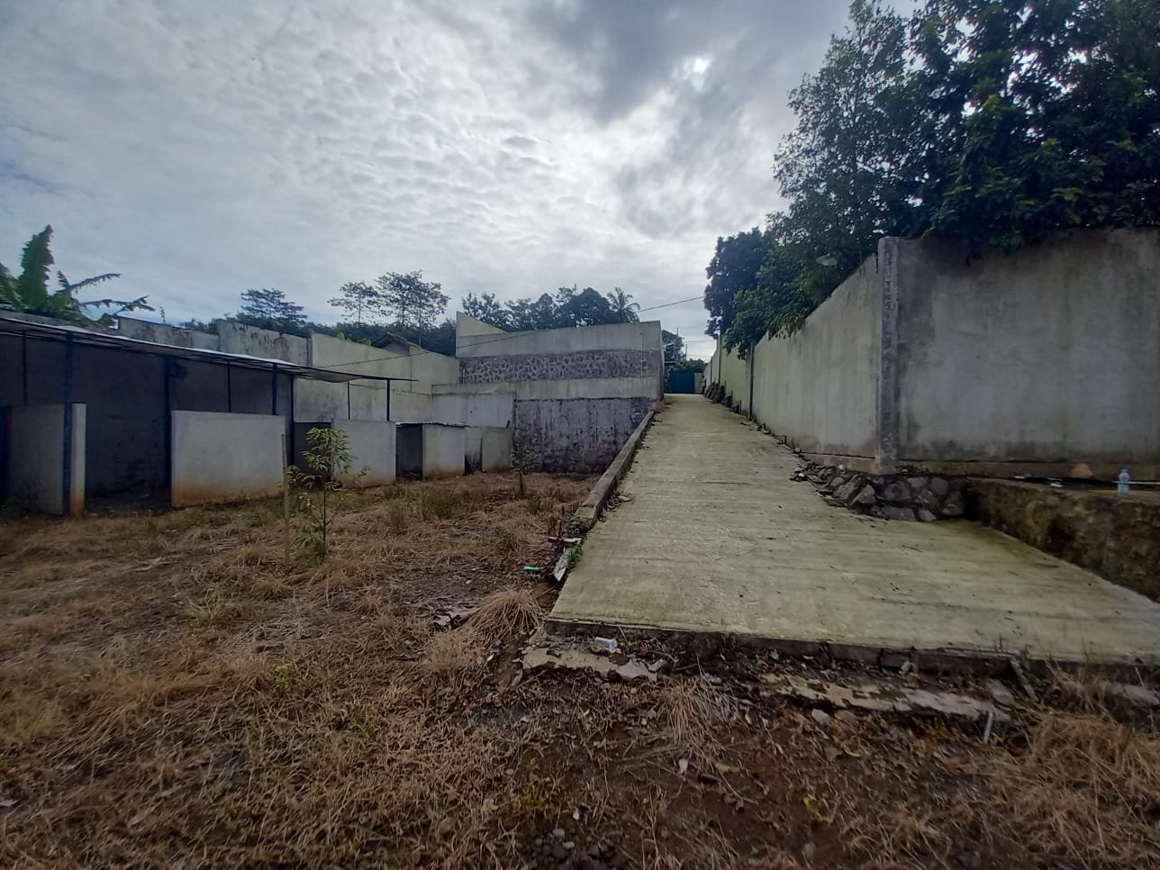 FOR SALE TANAH SHM MERBUH, KENDAL - 5