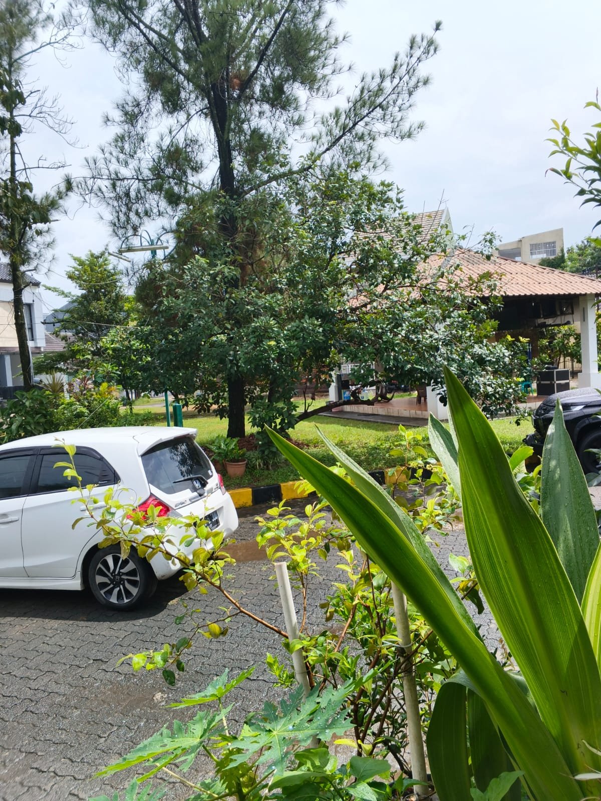 Dijual Rumah Tinggal - 7