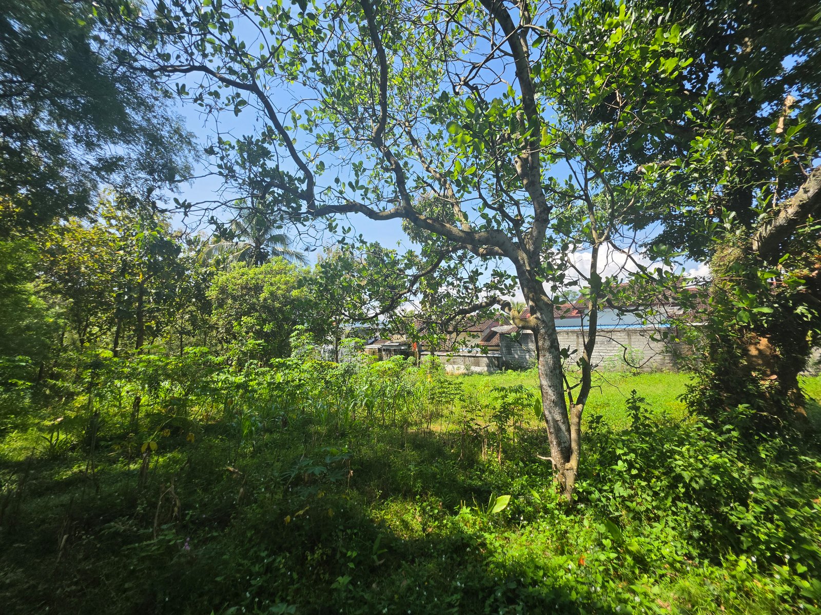 Jual Tanah Pekarangan - 9