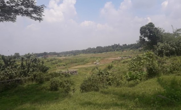 Dijual Tanah di Jl. Raya Dago, Kebasiran, Kec. Parung Panjang, Kab. Bogor - 3