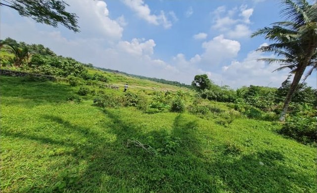 Dijual Tanah di Jl. Raya Dago, Kebasiran, Kec. Parung Panjang, Kab. Bogor - 7