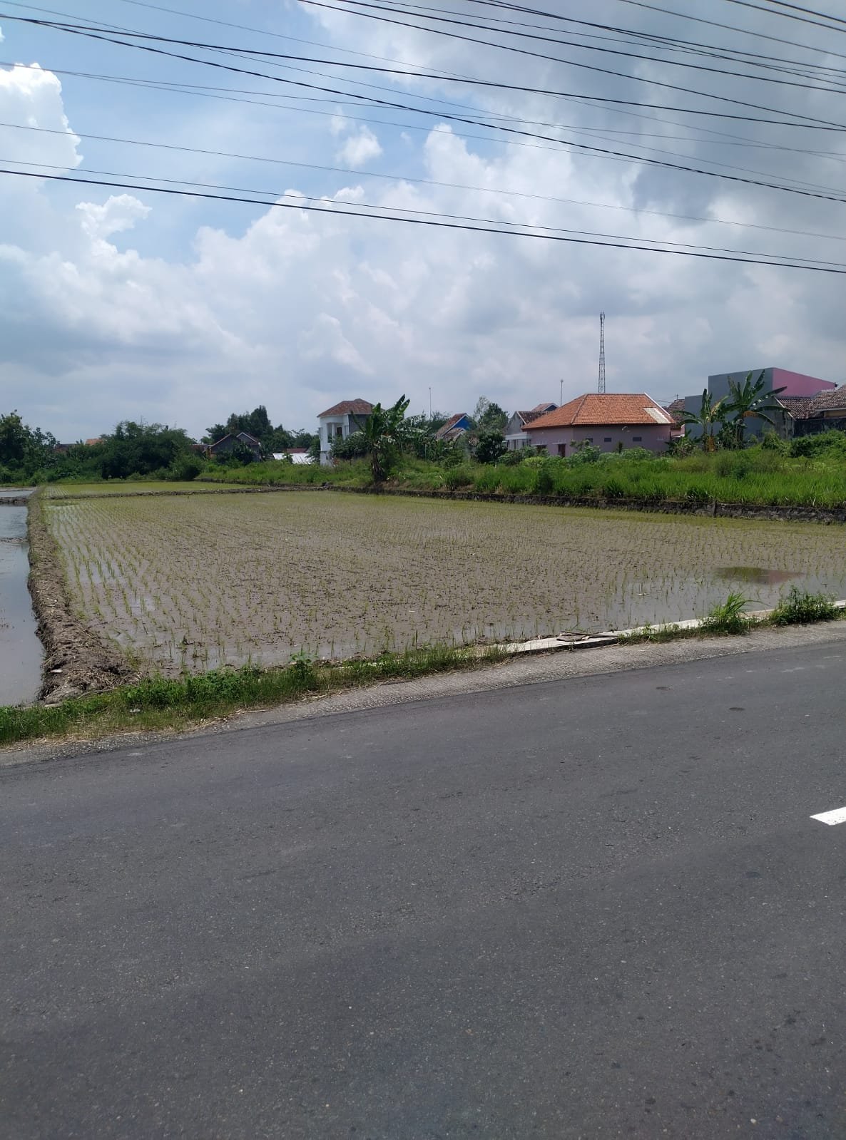 Tanah Stategis Pinggir Jalan Raya Alternatif Klaten - Boyolali - 3