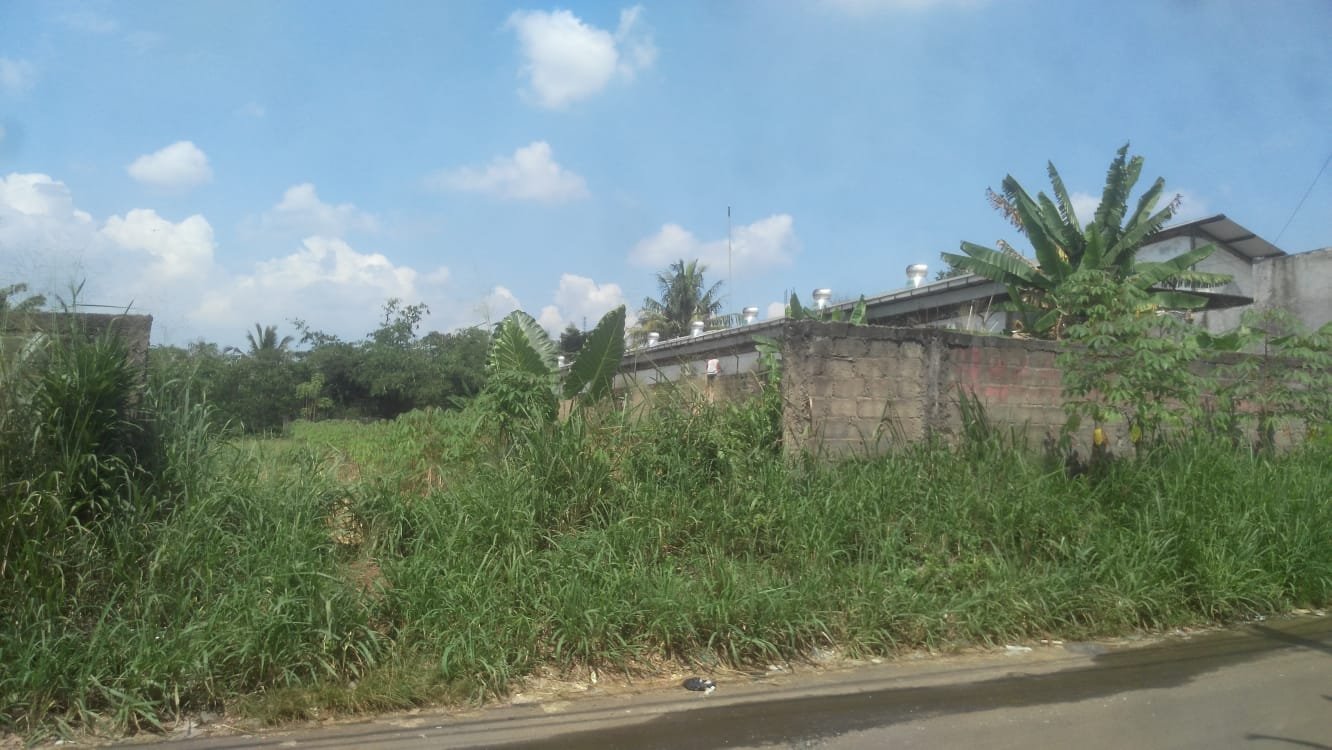 Jual Tanah jampang Kemang Parung Bogor - 11